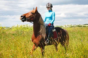 Обучение верховой езде
