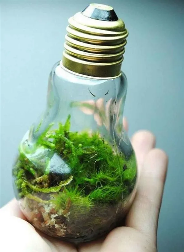 Поделки из лампочек своими руками. Поделки из лампочек. 19