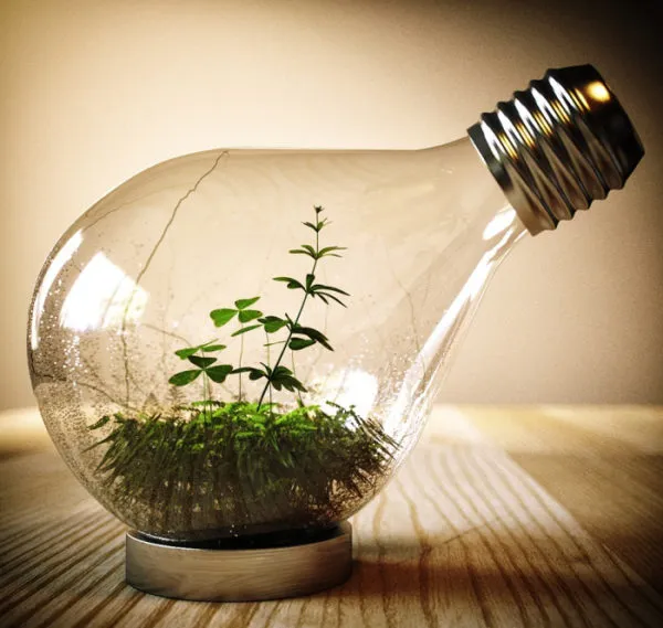 Поделки из лампочек своими руками