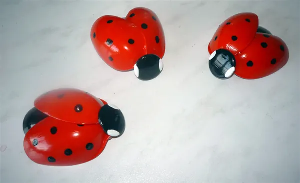 Чтобы божья коровка держалась, к ней прикрепляют палочки из-под чупа-чупса или мороженого и вставляют их в землю