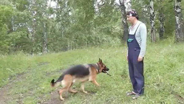 Отработка команды