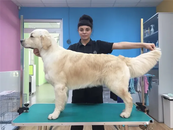 Профессионнальный уход