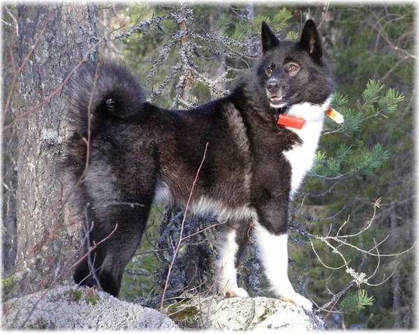 РЕЛ на природе