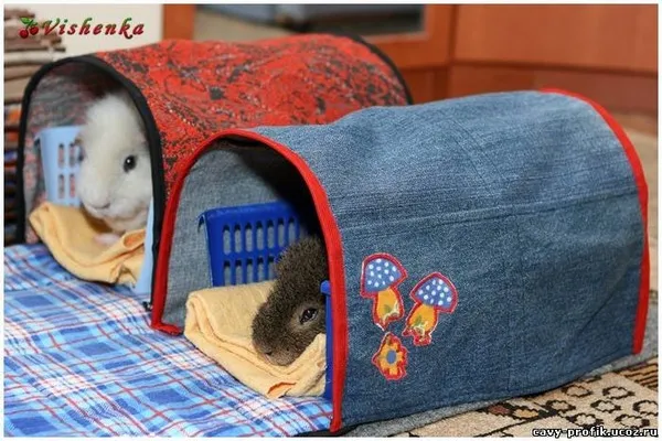 Отдельное жилье для питомцев