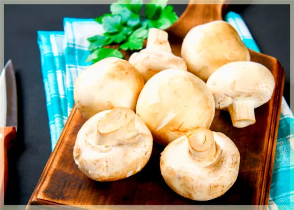 другие способы хранения шампиньонов