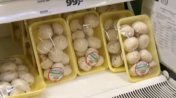 Шампиньоны. Сроки годности и условия хранения