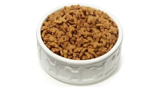 Сколько живут шпицы – кормление собаки