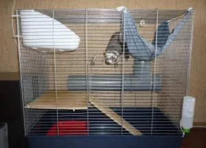 Клетка для хорька