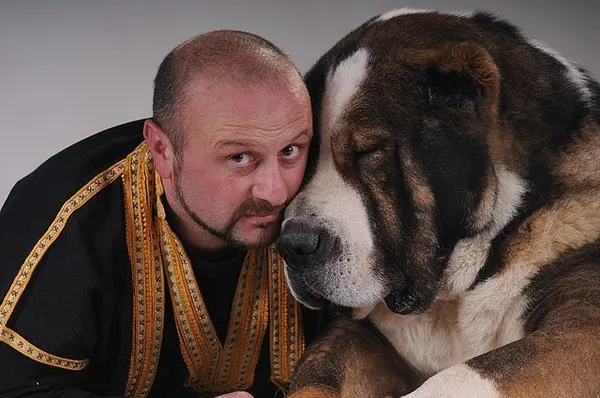 Мужчина с алабаем