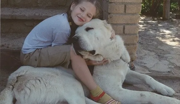 Девочка и алабай