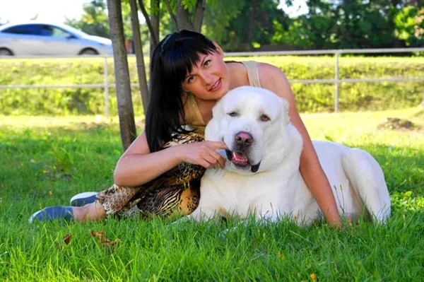 Алабай улыбается с хозяйкой