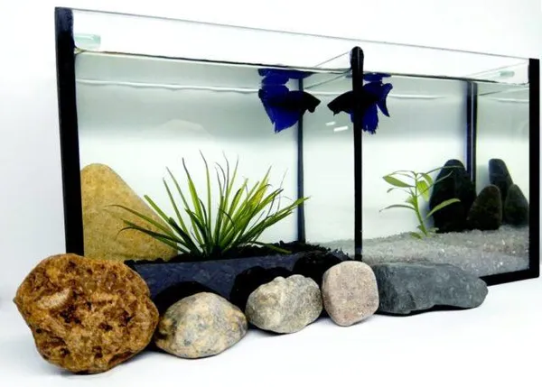 Аквариум с перегородкой для петушков