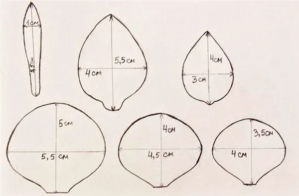 Создаём красоту своими руками: лучшие мастер-классы по изготовлению цветов из фоамирана