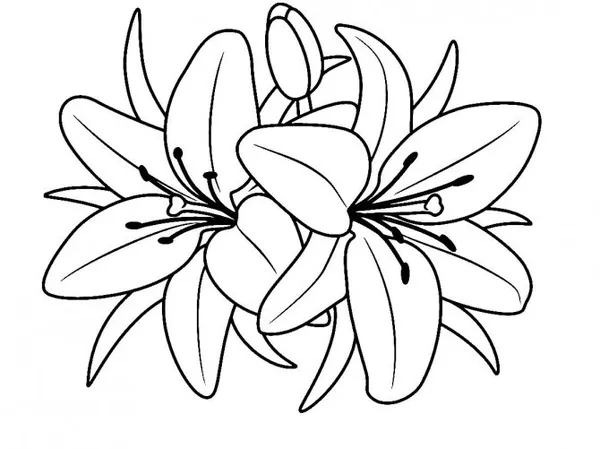 Создание оригами в виде лилии. Лилия из бумаги. 15