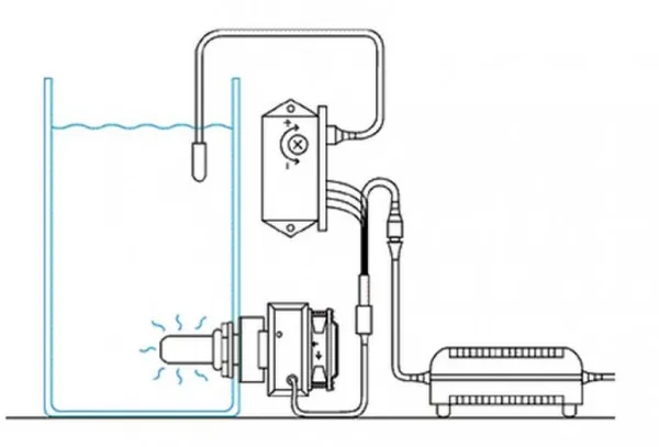 Уход за растениями в аквариуме. Трава для аквариума. 8