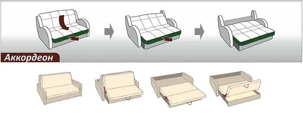 Даша Жукова