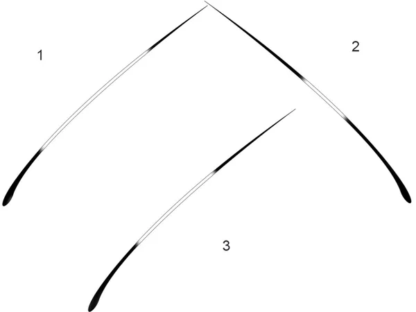 фото: Волос - окрас перец с солью, распределение окраса 