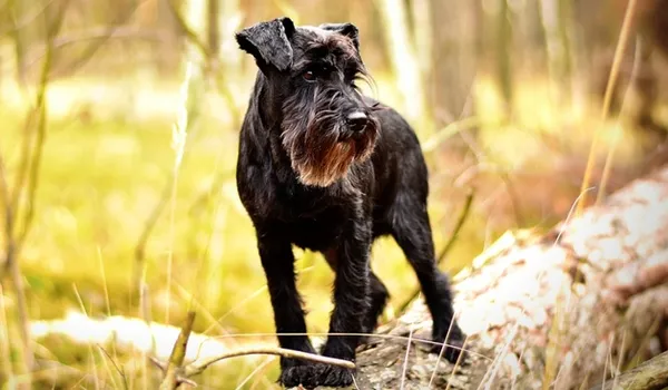 Здоровье и болезни