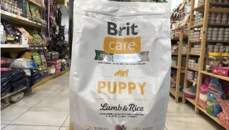 Все о кормах Brit