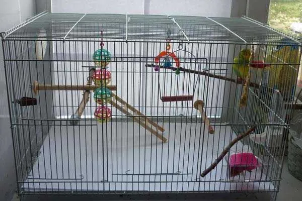 клетка с аксессуарами