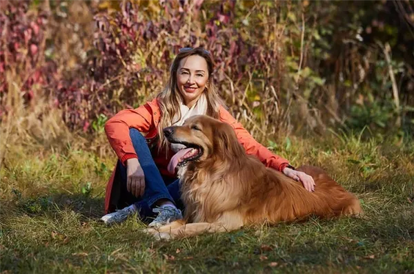 Ховаварт ховаварт порода собак. Ховаварт порода собак. 9