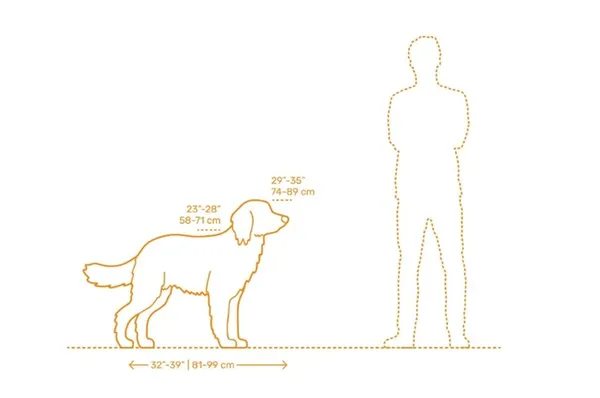 Размеры ховаварта