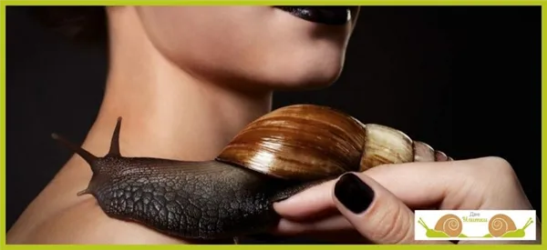 Вот так выглядят зубы улитки